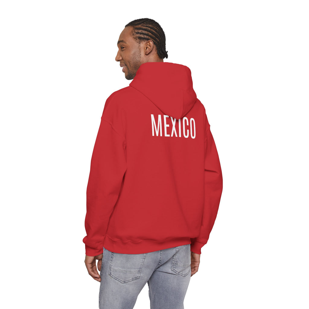 Mexico Flag Hoodie  Minimal Mexican Pride Pullover