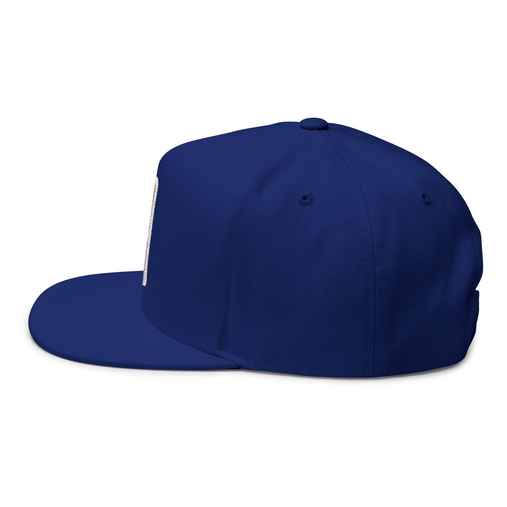 Embroidered NBA Logo Flat Bill Cap Snapback Basketball Hat