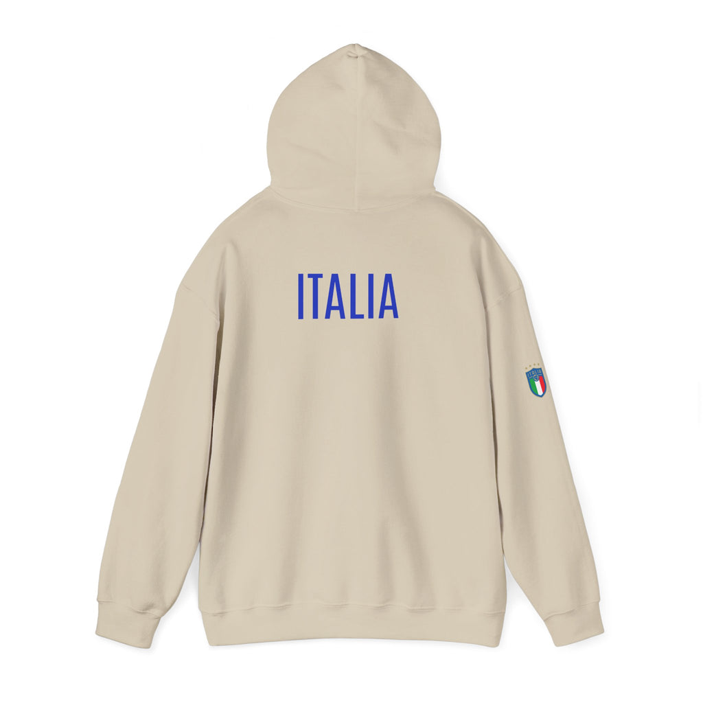 Italia Crest Hoodie Italian Flag Soccer Pullover