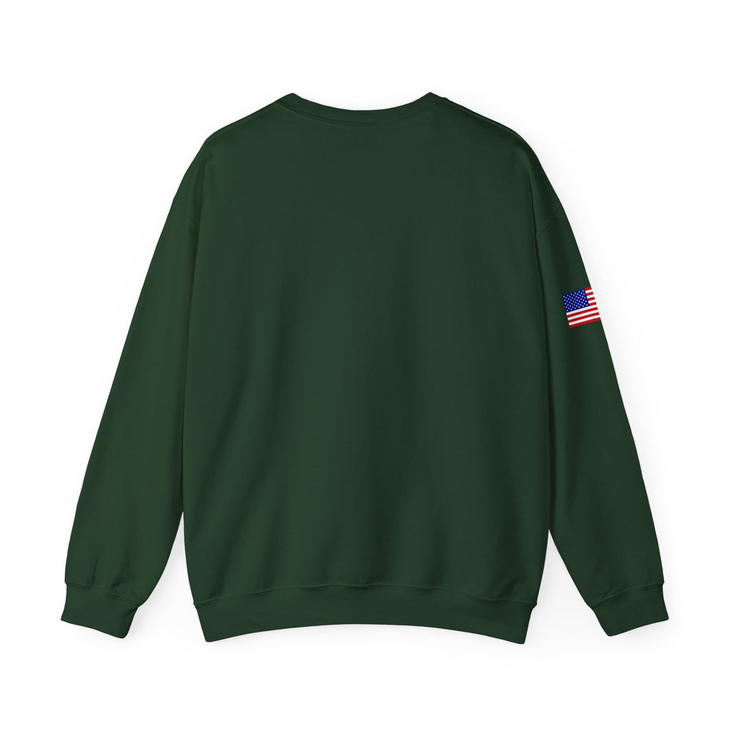 NFL Logo Crewneck Sweatshirt with American Flag Sleeve
