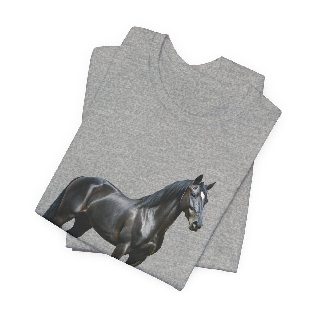 Black Mustang Horse and Classic Mustang Car Tee | Vintage Muscle Car Shirt