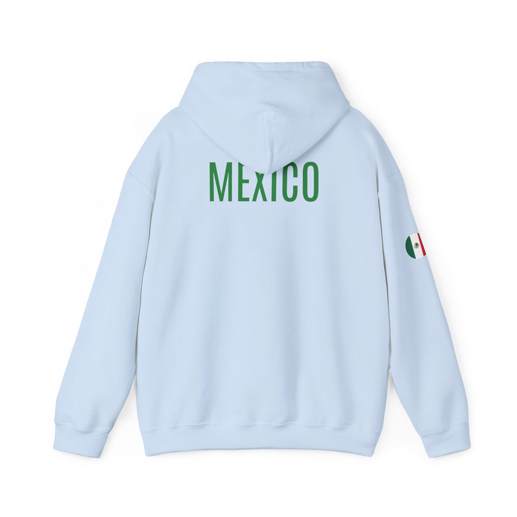 Mexico Flag Hoodie  Minimal Mexican Pride Pullover