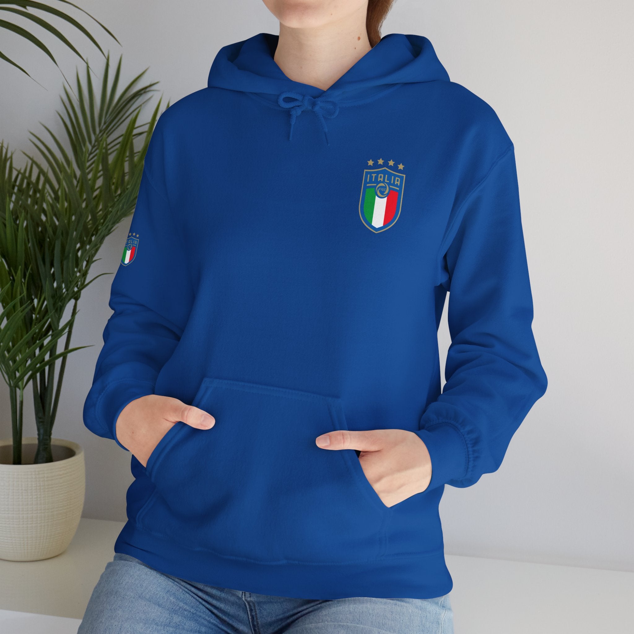 Italia Crest Hoodie Italian Flag Soccer Pullover