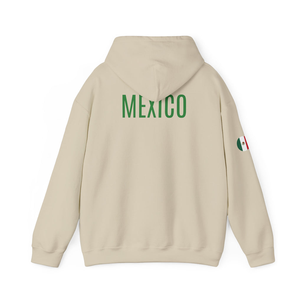 Mexico Flag Hoodie  Minimal Mexican Pride Pullover