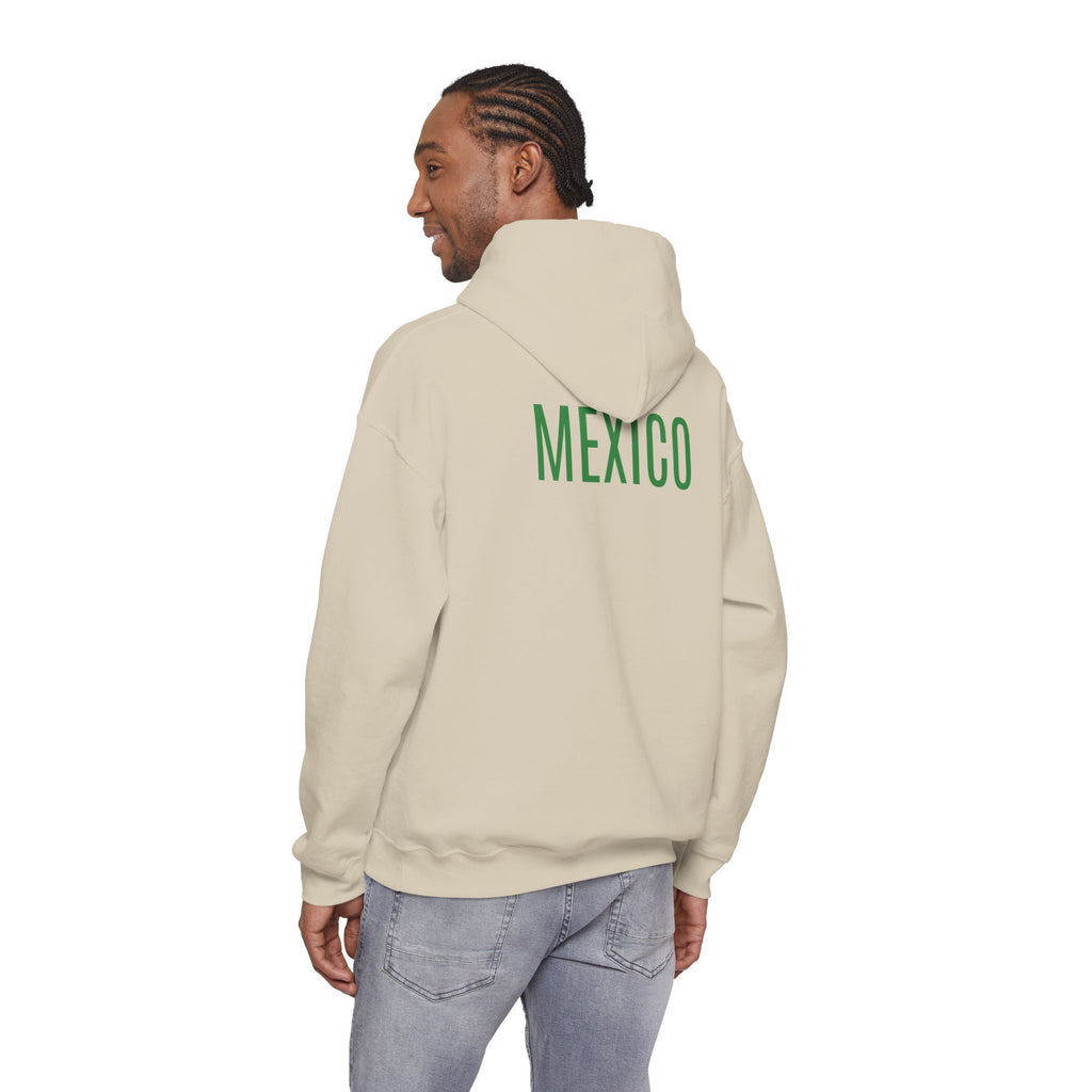 Mexico Flag Hoodie  Minimal Mexican Pride Pullover