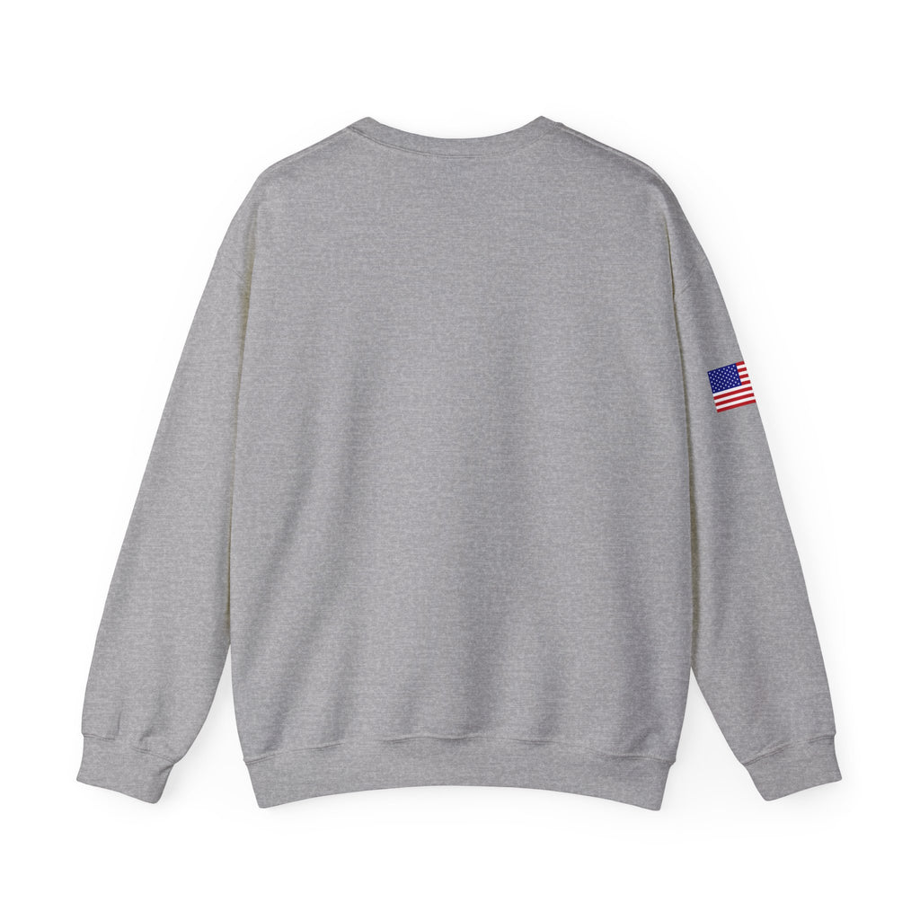 NFL Logo Crewneck Sweatshirt with American Flag Sleeve