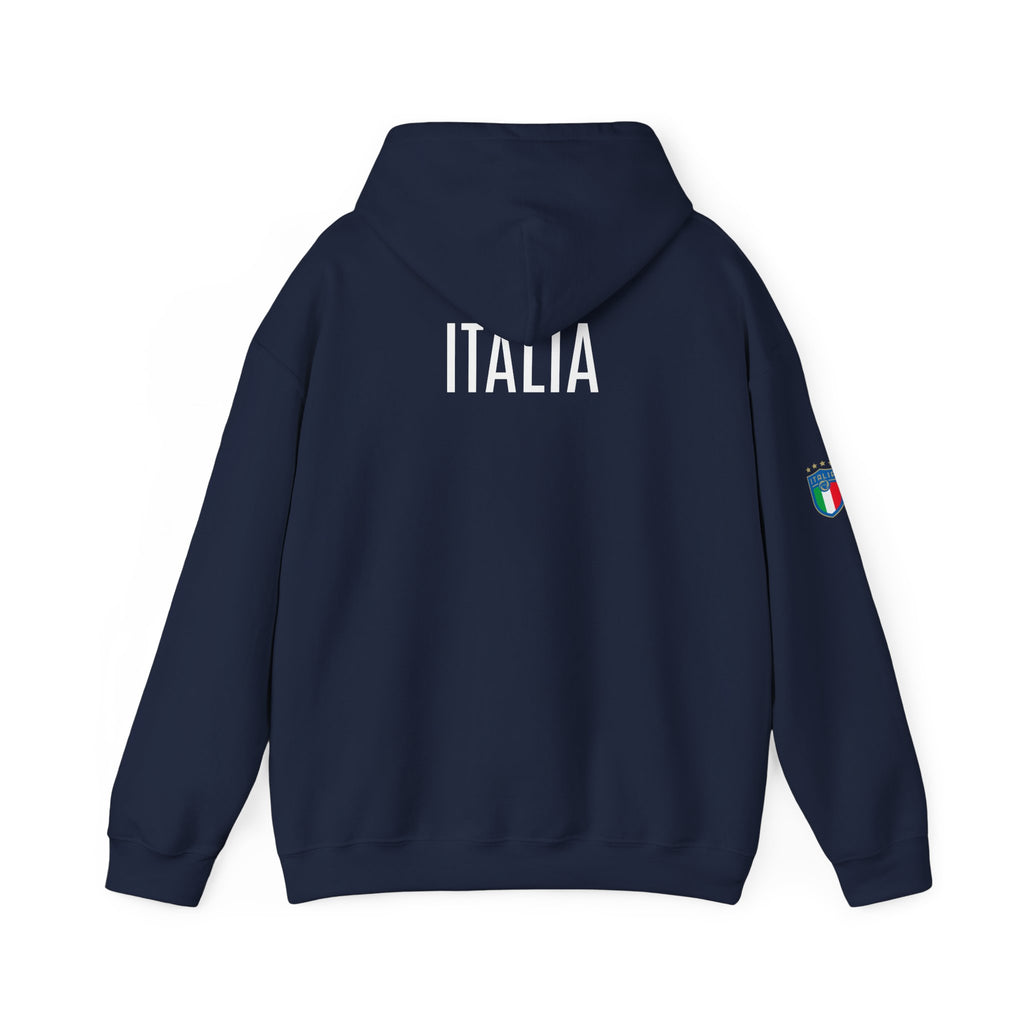 Italia Crest Hoodie Italian Flag Soccer Pullover