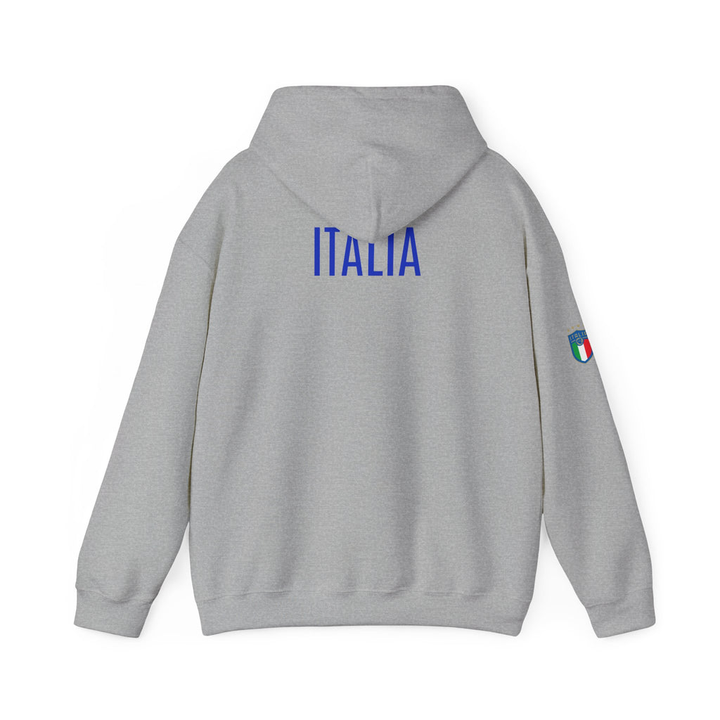 Italia Crest Hoodie Italian Flag Soccer Pullover
