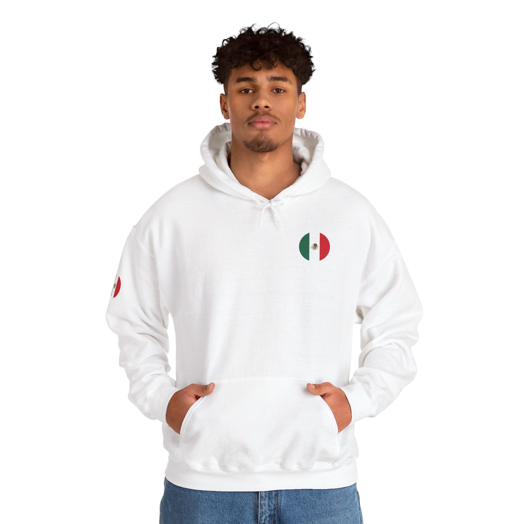 Mexico Flag Hoodie  Minimal Mexican Pride Pullover