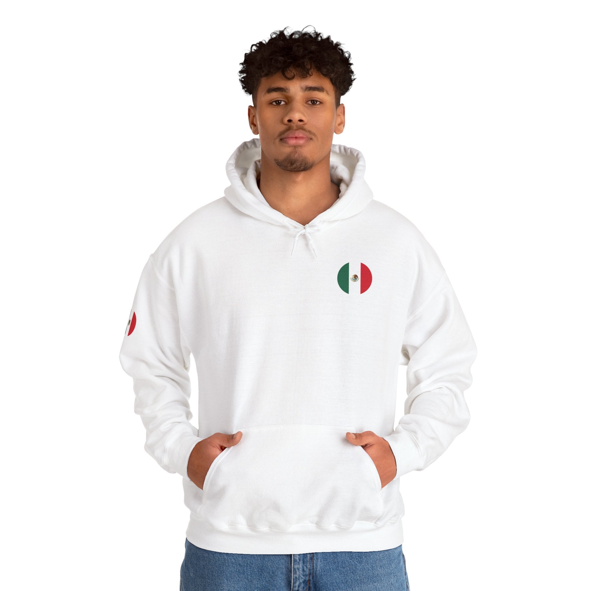 Mexico Flag Hoodie  Minimal Mexican Pride Pullover