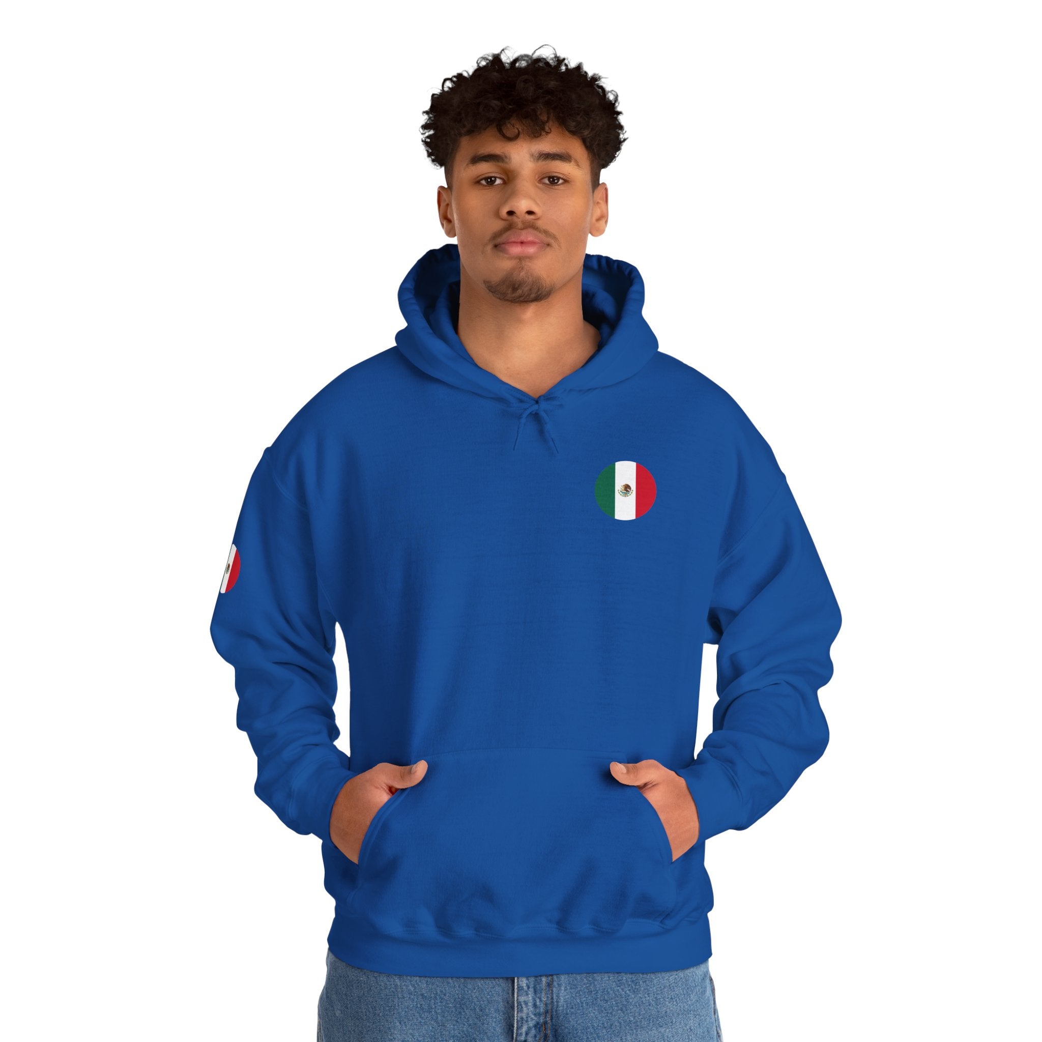 Mexico Flag Hoodie  Minimal Mexican Pride Pullover