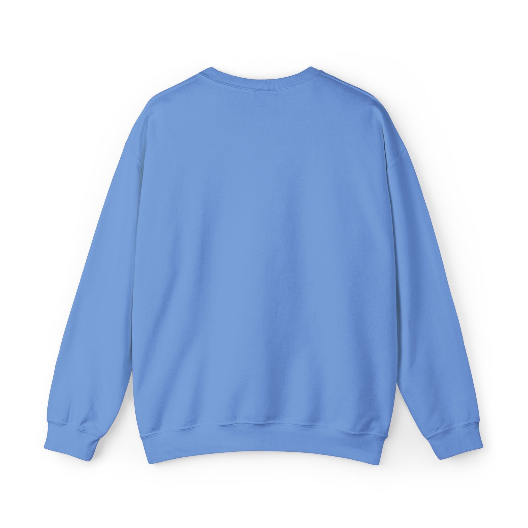 Customizable Message Sweatshirt Personalized Text Crewneck - Etna Gift
