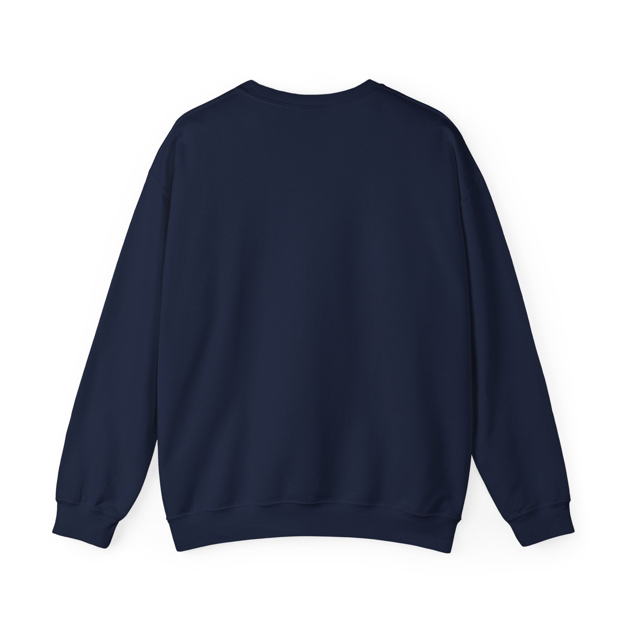 Customizable Message Sweatshirt Personalized Text Crewneck - Etna Gift