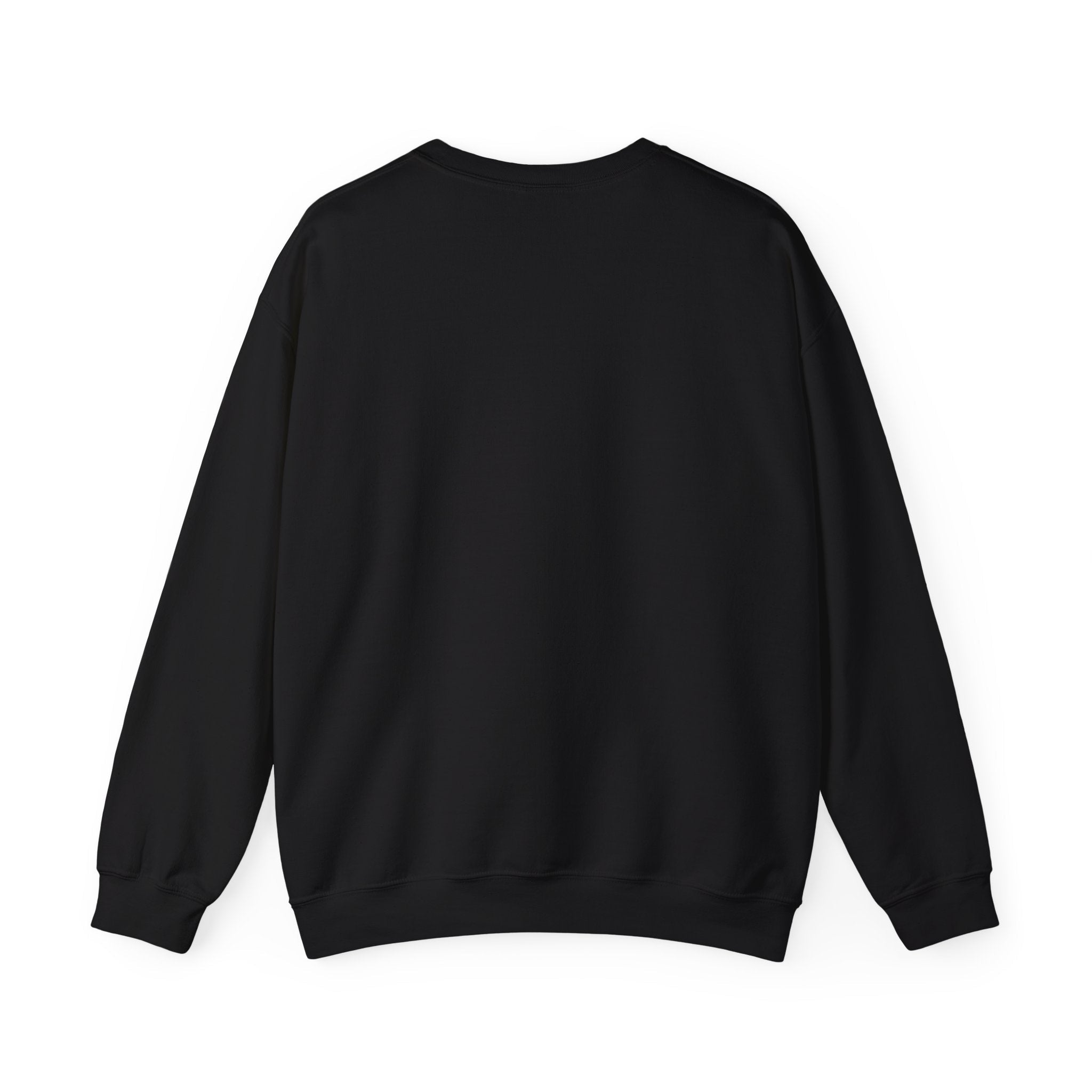 Customizable Message Sweatshirt Personalized Text Crewneck - Etna Gift