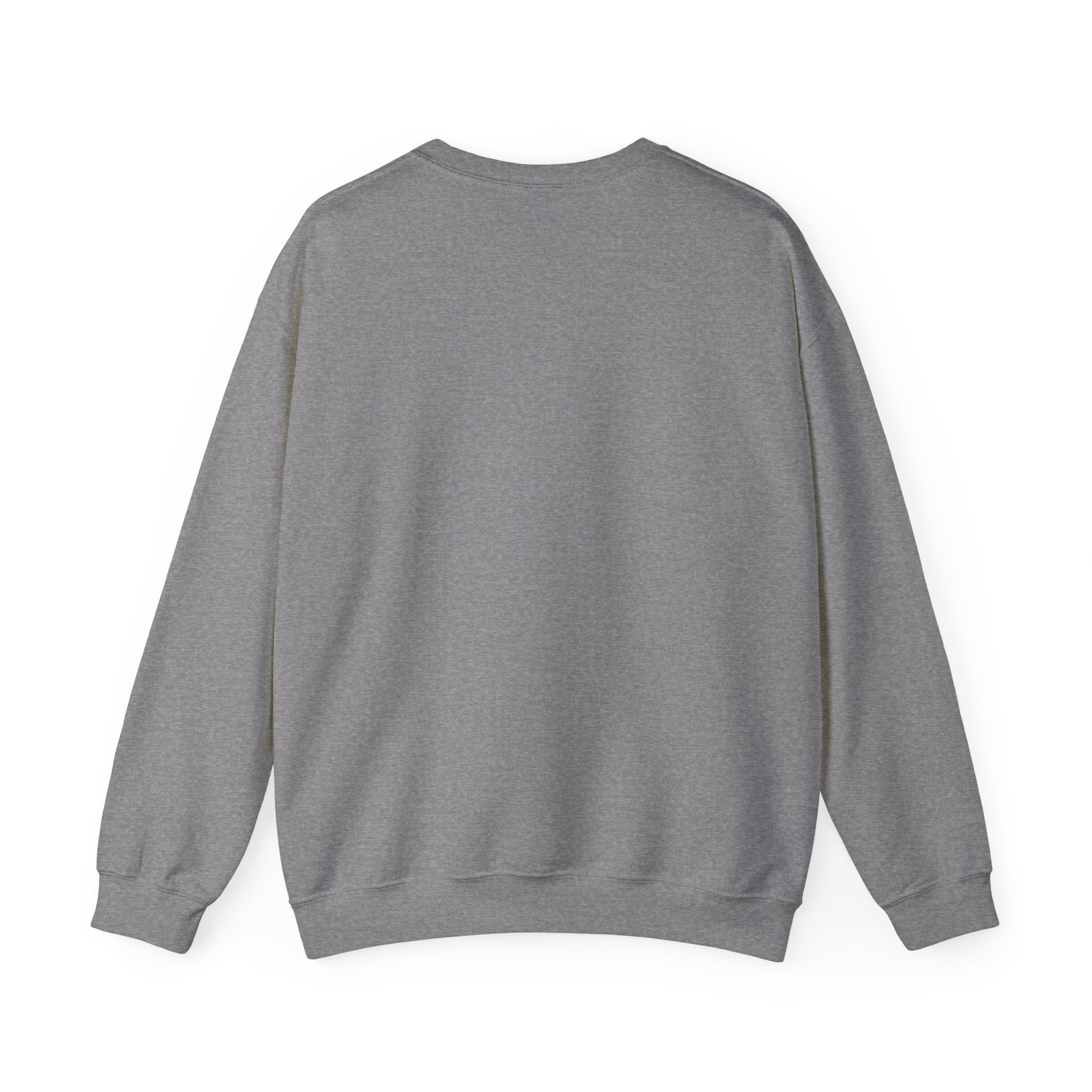 Customizable Message Sweatshirt Personalized Text Crewneck - Etna Gift