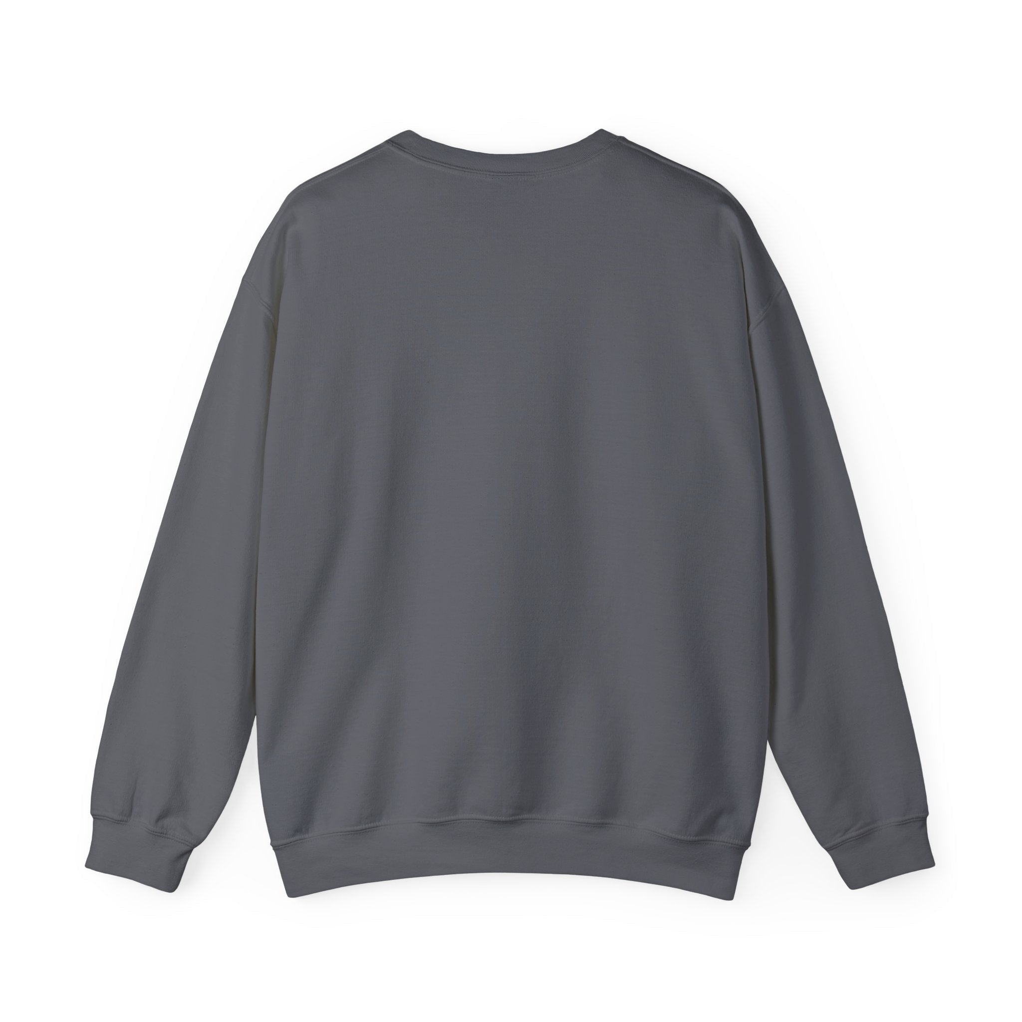 Customizable Message Sweatshirt Personalized Text Crewneck - Etna Gift