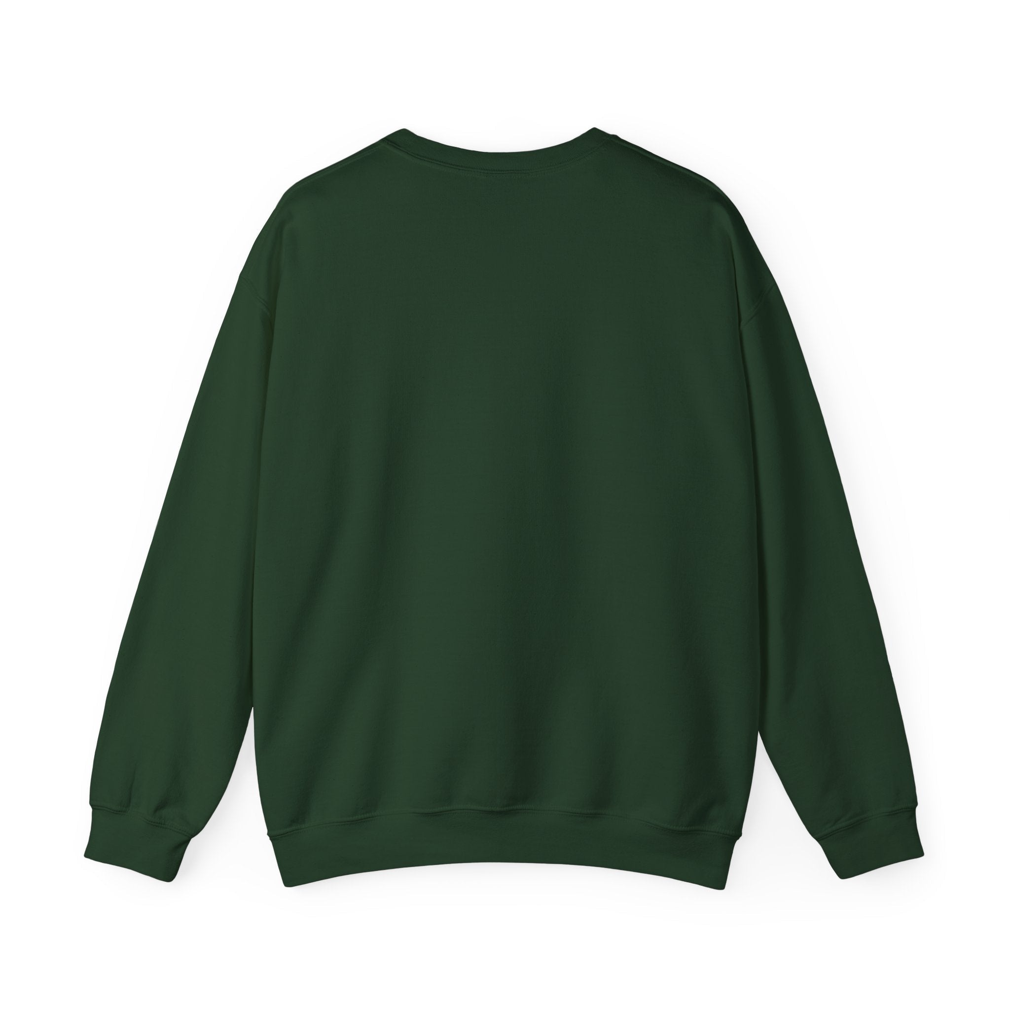 Customizable Message Sweatshirt Personalized Text Crewneck - Etna Gift