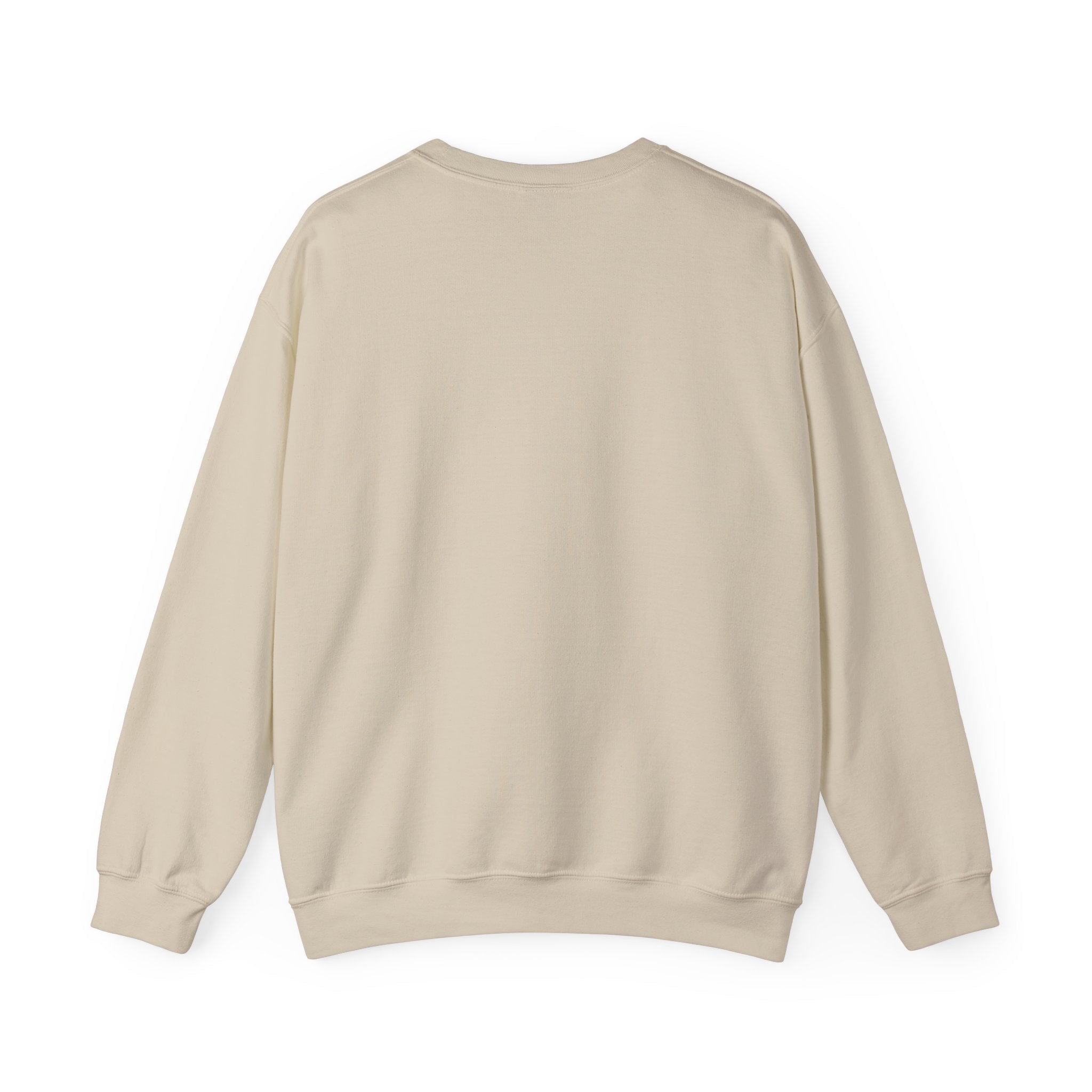 Customizable Message Sweatshirt Personalized Text Crewneck - Etna Gift