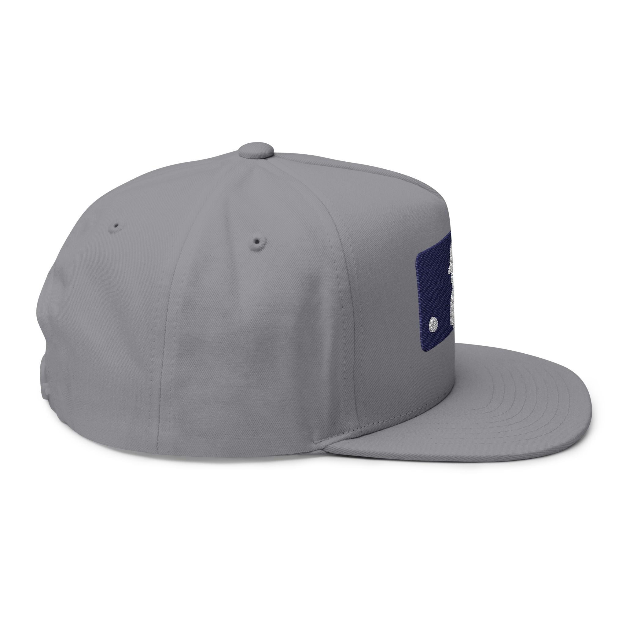 Flat Bill Cap — Embroidered Baseball Logo Snapback - Etna Gift