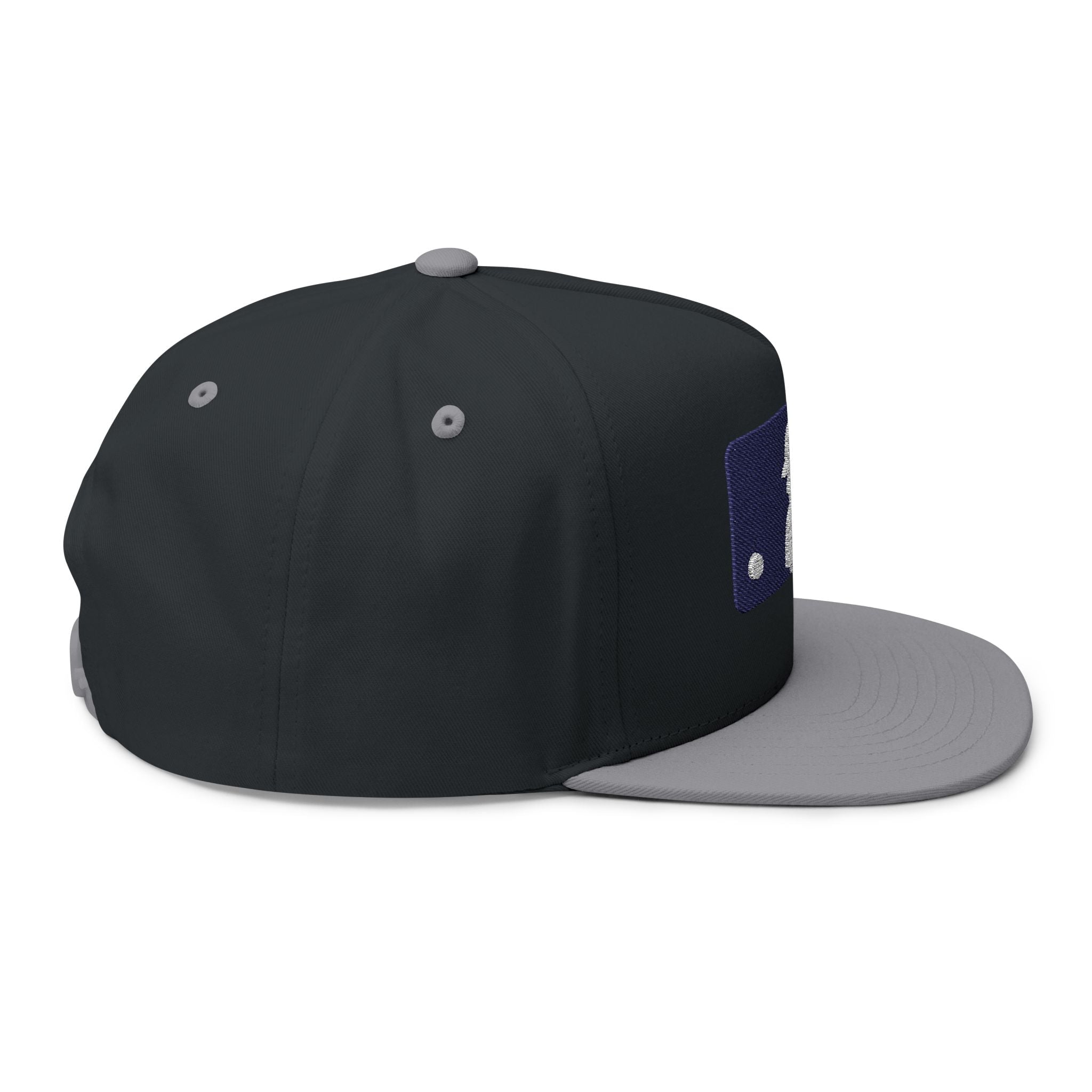 Flat Bill Cap — Embroidered Baseball Logo Snapback - Etna Gift