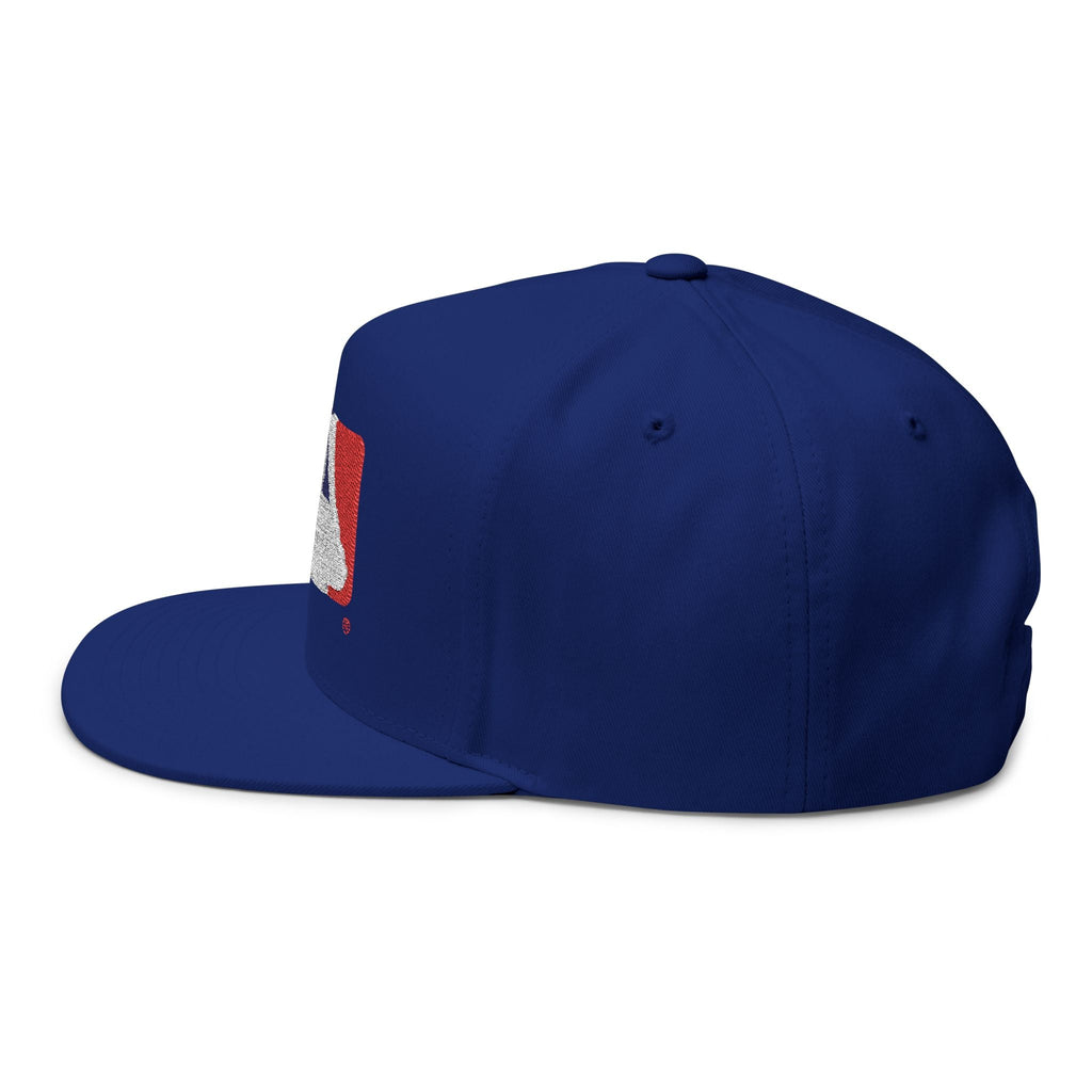 Flat Bill Cap — Embroidered Baseball Logo Snapback - Etna Gift