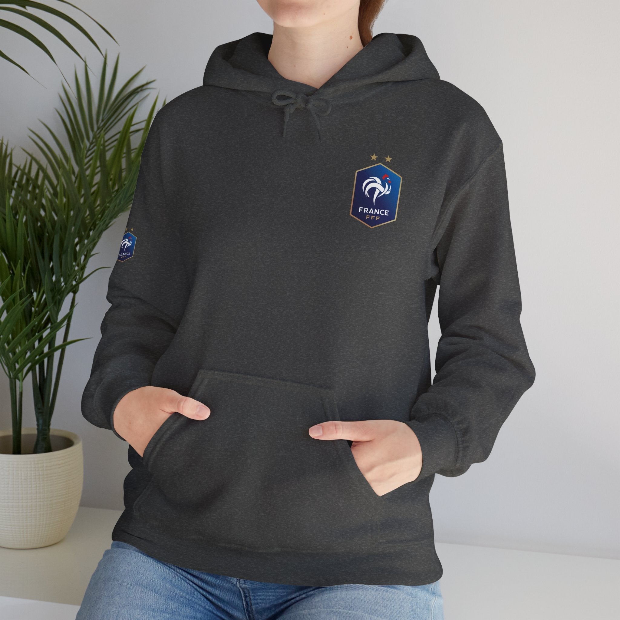 France Logo Hoodie French Crest Pullover with 'FRANCE' Back Print - Etna Gift