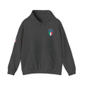 Italia Crest Hoodie Italian Flag Soccer Pullover - Etna Gift