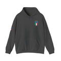 Italia Crest Hoodie Italian Flag Soccer Pullover - Etna Gift