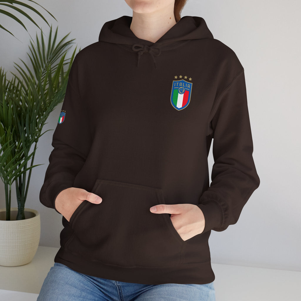 Italia Crest Hoodie Italian Flag Soccer Pullover - Etna Gift