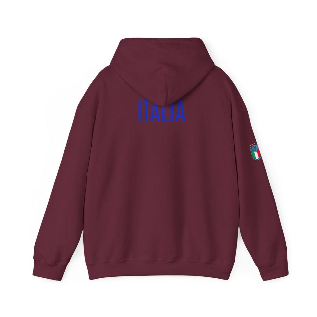 Italia Crest Hoodie Italian Flag Soccer Pullover - Etna Gift