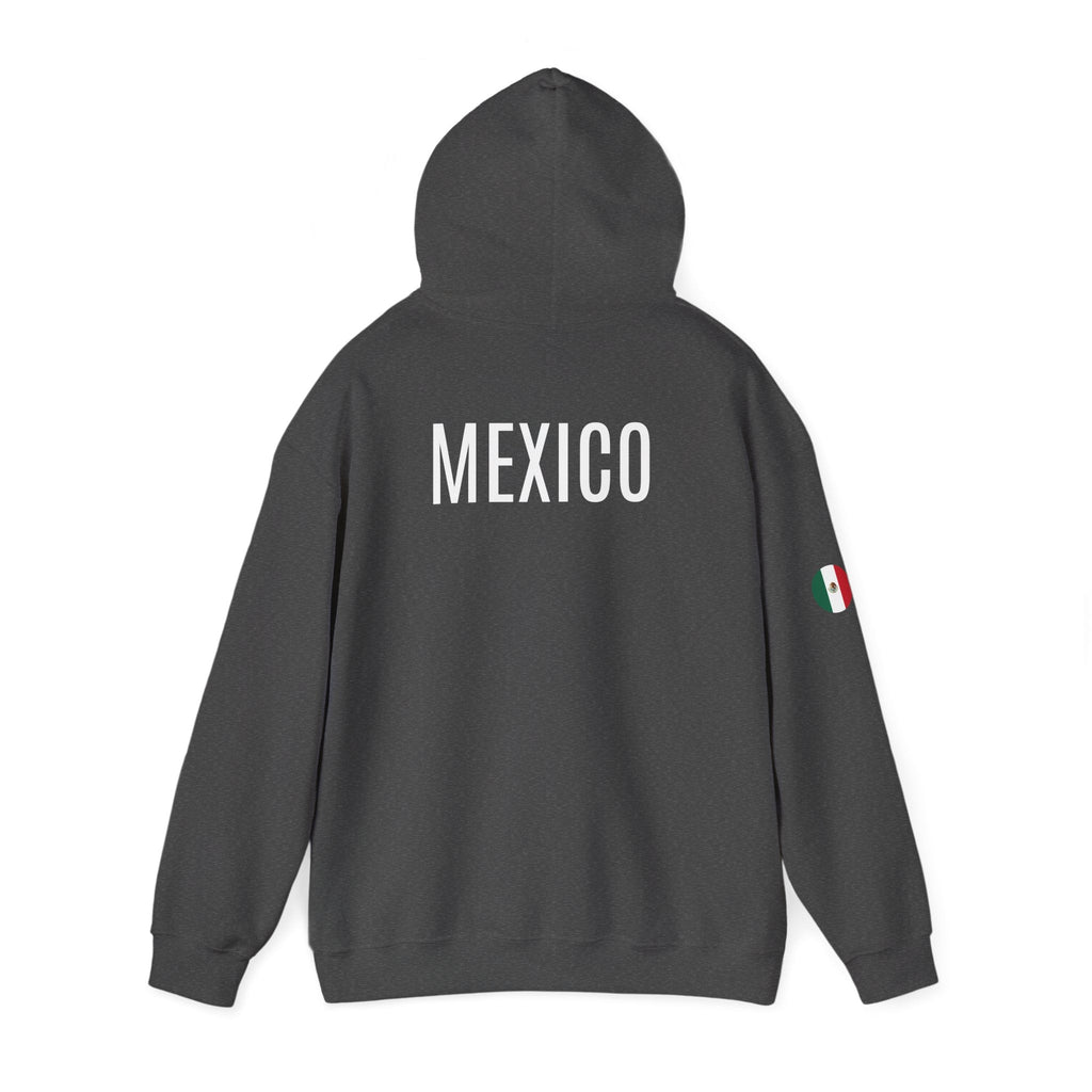 Mexico Flag Hoodie Minimal Mexican Pride Pullover - Etna Gift