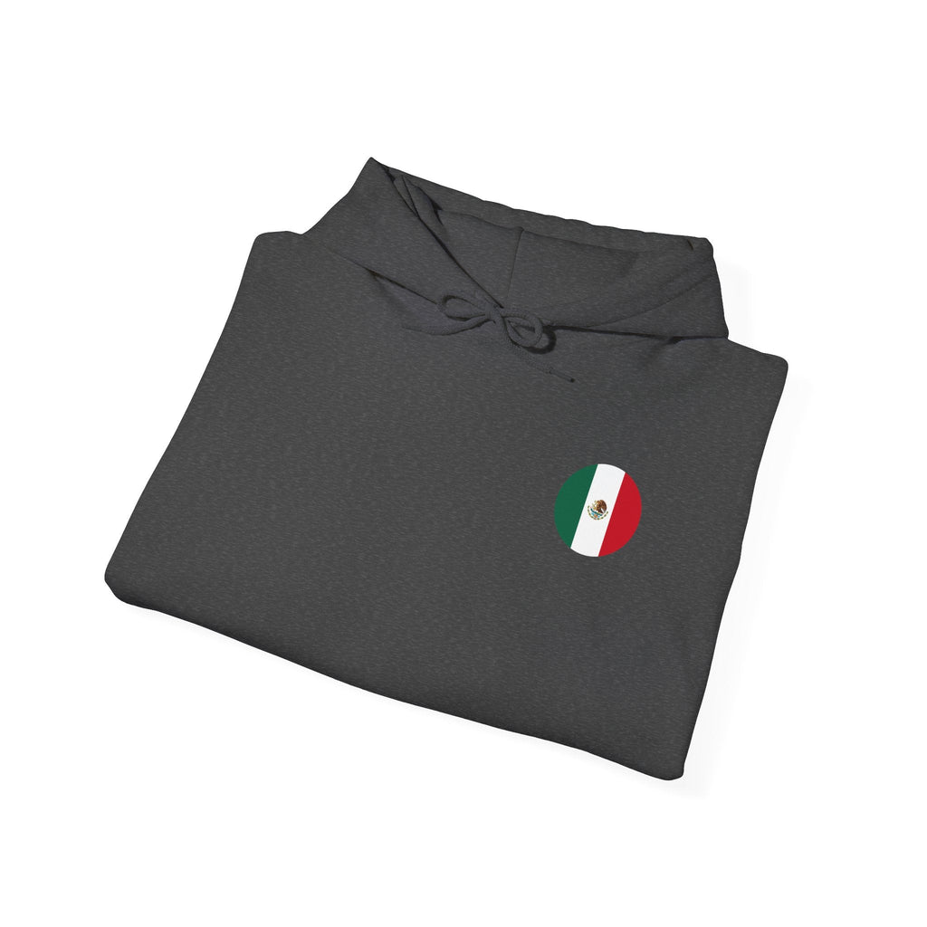Mexico Flag Hoodie Minimal Mexican Pride Pullover - Etna Gift