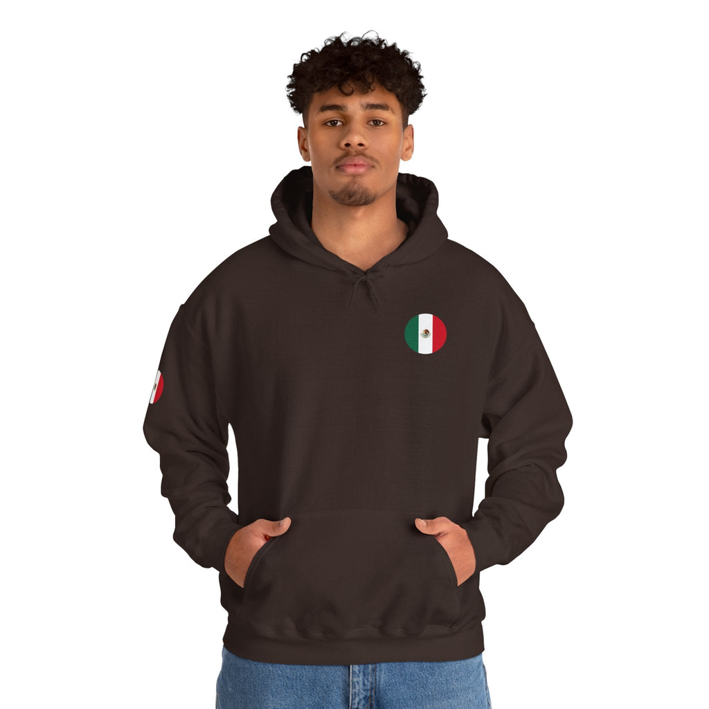 Mexico Flag Hoodie Minimal Mexican Pride Pullover - Etna Gift